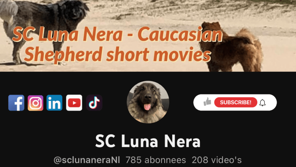 YouTube channel- SC Luna Nera